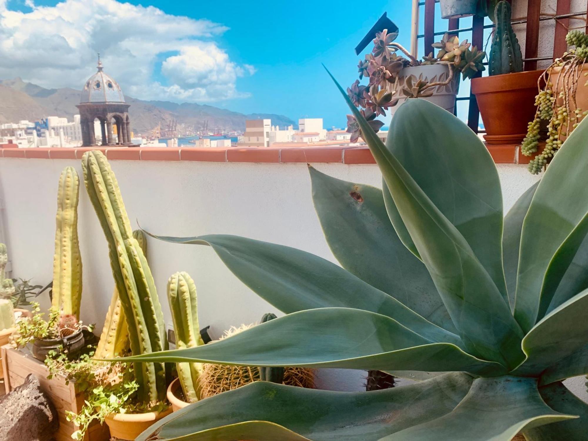 Atico Con Terraza, Vistas Panoramicas Y Parking Apartment Santa Cruz de Tenerife Exterior photo